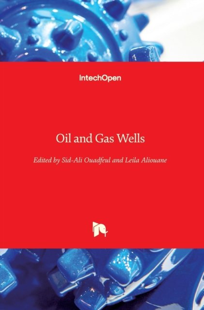 Cover for Sid-ali Ouadfeul · Oil and Gas Wells (Hardcover Book) (2020)