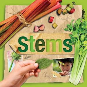 Cover for Steffi Cavell-Clarke · Stems - Plant Parts (Paperback Book) (2023)