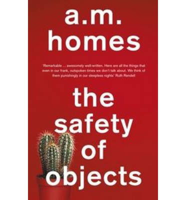 Cover for Homes, A.M. (Y) · The Safety Of Objects (Paperback Book) (2013)