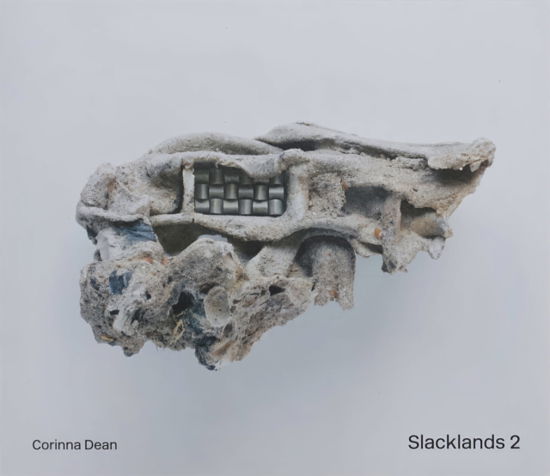 Slacklands 2 - Slacklands - Arca - Bøger - Archive for Rural Contemporary Architect - 9781916192300 - 1. april 2022