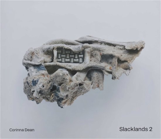 Cover for Arca · Slacklands 2 - Slacklands (Paperback Book) (2022)