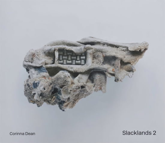 Slacklands 2 - Slacklands - Arca - Bøker - Archive for Rural Contemporary Architect - 9781916192300 - 1. april 2022