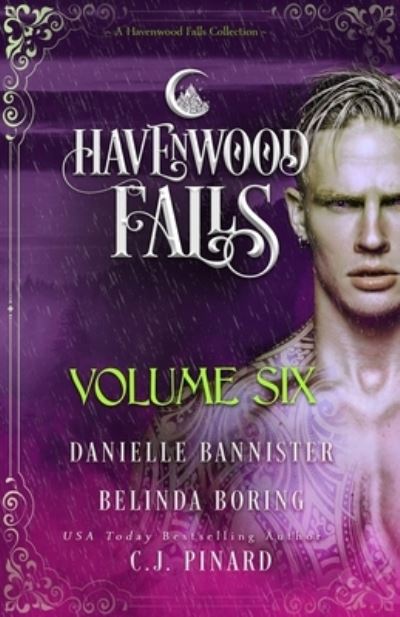 Cover for C J Pinard · Havenwood Falls Volume Six (Paperback Book) (2019)