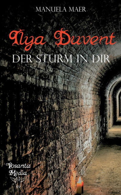 Cover for Manuela Maer · Ilya Duvent: Der Sturm in Dir (Paperback Book) (2022)