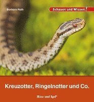 Cover for Barbara Rath · Kreuzotter, Ringelnatter und Co. (Book) (2023)