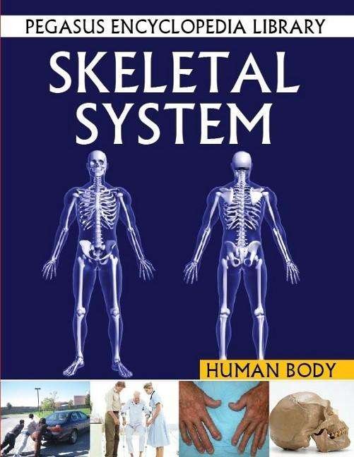 Cover for Pegasus · Skeletal System (Paperback Book) (2021)