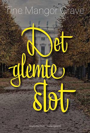 Cover for Tine Mangor Grave · Det glemte slot (Sewn Spine Book) [1st edition] (2022)