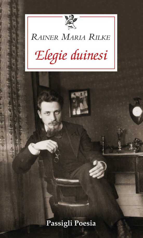 Cover for Rainer Maria Rilke · Elegie Duinesi. Testo Tedesco A Fronte (Buch)