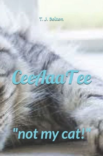 Cover for H &amp; H Smith · CeeAaaTee (Paperback Bog) (2021)