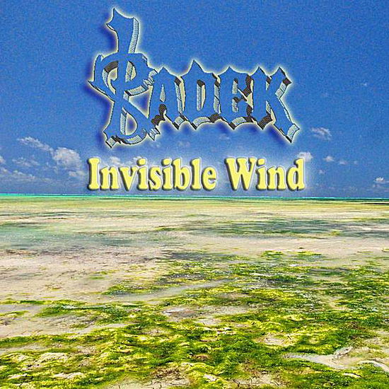 Cover for Radek · Invisible Wind (CD) (2012)