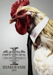 Cover for Yellow Fried Chickenz · World Tour *show Ur Soul.1* Sekai Show Ur Soul Matsuri at Makuhari 2011 (MDVD) [Japan Import edition] (2012)