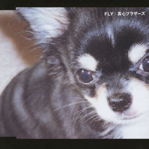 Cover for Magokoro Brothers · Fly (CD) [Japan Import edition] (2001)