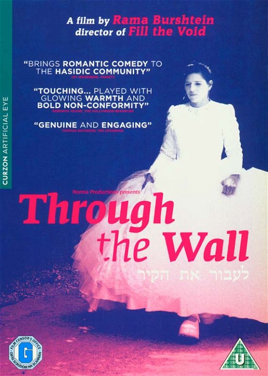 Through The Wall - Movie - Filmes - Artificial Eye - 5021866813301 - 20 de fevereiro de 2017