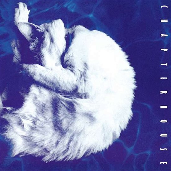 Whirlpool (Ltd. Blue / Silver Marbled Vinyl) - Chapterhouse - Musik - MUSIC ON VINYL - 8719262012301 - 6. marts 2020