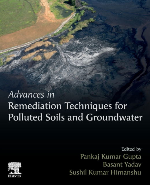 Cover for Pankaj Kumar Gupta · Advances in Remediation Techniques for Polluted Soils and Groundwater (Pocketbok) (2021)