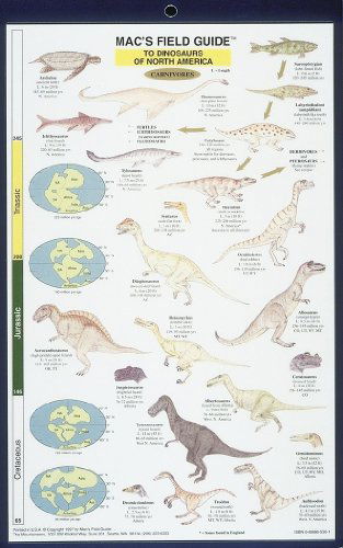 Cover for Craig Macgowan · Dinosaurs - North America (Mac's Guides (Flash Cards)) (Flashcards) (1997)