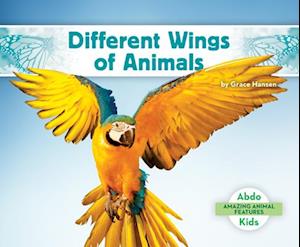 Cover for Grace Hansen · Different Wings of Animals (Book) (2023)