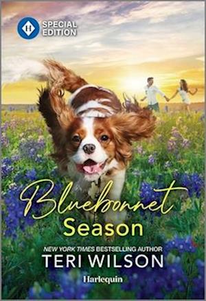 Cover for Teri Wilson · Bluebonnet Season (Buch) (2025)