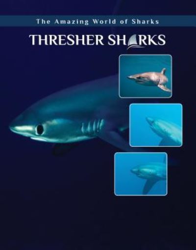 Cover for Elizabeth Roseborough · Thresher Sharks - Amazing World of Sharks (Hardcover Book) (2018)