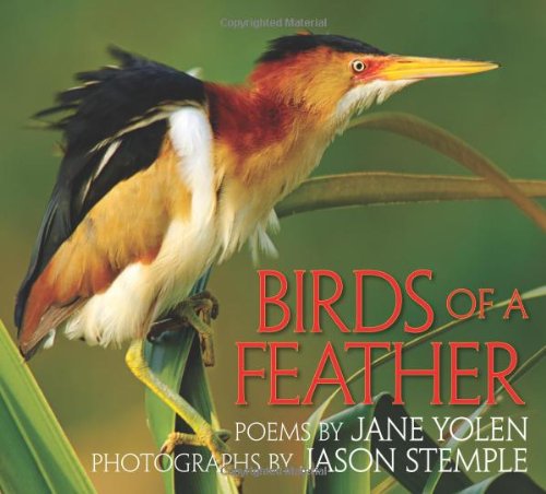 Cover for Jane Yolen · Birds of a Feather (Hardcover Book) (2011)