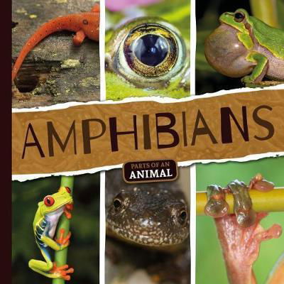 Cover for Emilie Dufresne · Amphibians - Parts of an Animal (Hardcover Book) (2018)