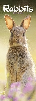 Rabbits Slim Calendar 2025 Cute Slimline Calendar - 12 Month (Calendar) (2024)