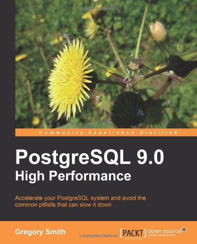 Cover for Gregory Smith · PostgreSQL 9.0 High Performance (Paperback Book) (2010)