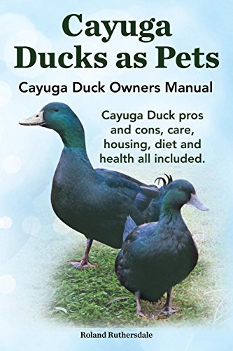 Cover for Robert Ruthersdale · Cayuga Ducks As Pets. Cayuga Duck Owners Manual. Cayuga Duck Pros and Cons, Care, Housing, Diet and Health All Included. (Paperback Book) (2014)
