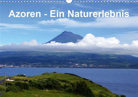 Cover for Löwe · Azoren - Ein Naturerlebnis (Wandka (Bok)