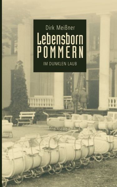 Lebensborn Pommern: Im dunklen Laub - Dirk Meissner - Książki - Books on Demand - 9783750447301 - 27 stycznia 2020