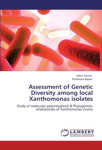 Cover for Rukhsana Bajwa · Assessment of Genetic Diversity Among Local Xanthomonas Isolates: Study of Molecular Polymorphism &amp; Phylogenetic Relationships of Xanthomonas Strains (Pocketbok) (2011)
