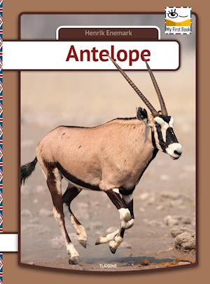 Cover for Henrik Enemark · My first book: Antelope (Hardcover Book) [1. Painos] (2021)