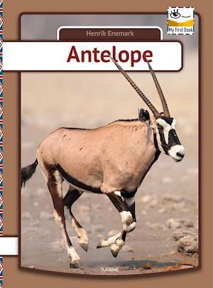 My first book: Antelope - Henrik Enemark - Bøger - Turbine - 9788740670301 - 7. april 2021