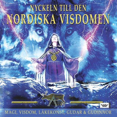 Cover for Ulf Andersson Niclas Thörn · Nyckeln till den nordiska visdomen (Hardcover Book) (2017)