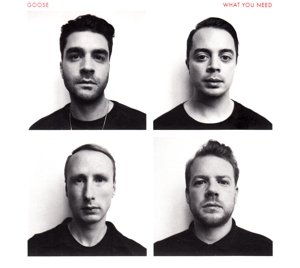 Cover for Goose · What You Need (CD) (2016)