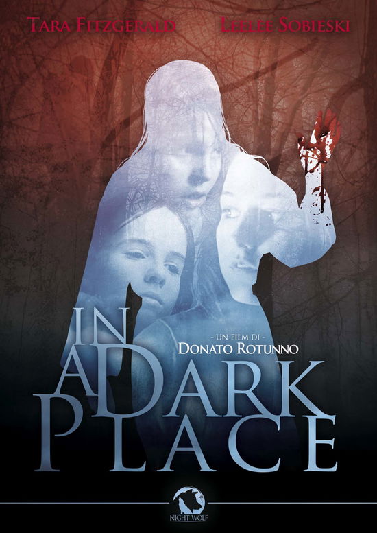 Cover for In a Dark Place (DVD) (2018)