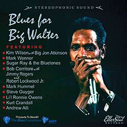 Blues For Big Walter - V/A - Musiikki - ELLERSOUL - 0700261436302 - perjantai 18. maaliskuuta 2016