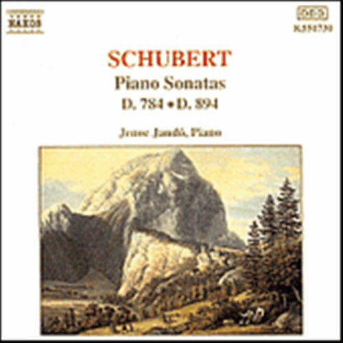 SCHUBERT: Piano Son. D784&D894 - Jeno Jando - Música - Naxos - 4891030507302 - 10 de fevereiro de 1993