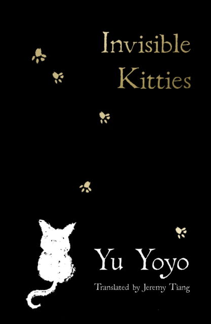 Cover for Yu Yoyo · Invisible Kitties (Paperback Book) (2024)