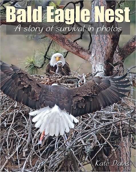 Cover for Kate Davis · Bald Eagle Nest: A Story of Survival in Photos (Taschenbuch) (2013)