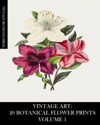 Vintage Art - Vintage Revisited Press - Books - Blurb - 9781006853302 - August 23, 2024