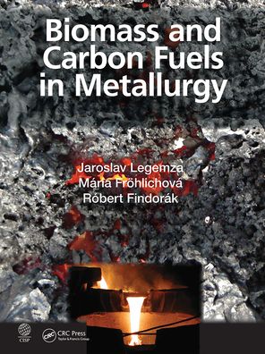 Cover for Legemza, Jaroslav (Technical University of Kosice, Kosice, Slovakia) · Biomass and Carbon Fuels in Metallurgy (Paperback Book) (2021)