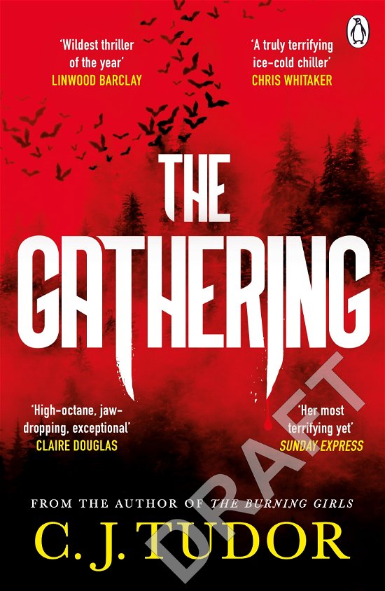 Cover for C. J. Tudor · The Gathering (Paperback Book) (2024)