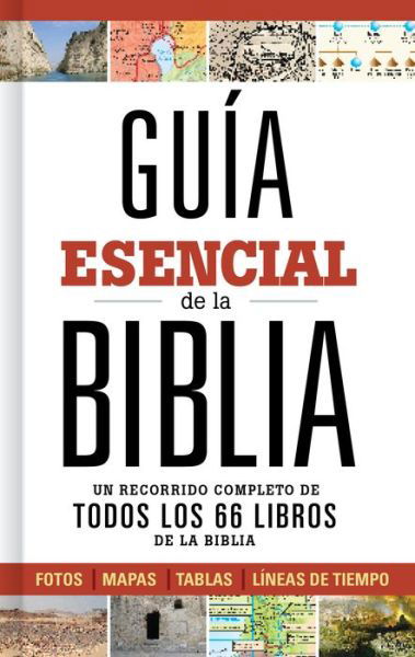 Cover for B&amp;H Espanol Editorial Staff · Guia esencial de la Biblia (Gebundenes Buch) (2017)