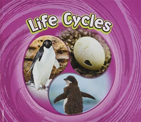 Cycles of Nature Pack B of 5 - Cycles of Nature - Jaclyn Jaycox - Books - Capstone Global Library Ltd - 9781474795302 - September 3, 2020
