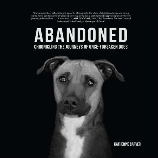 Abandoned: Chronicling the Journeys of Once-Forsaken Dogs - Carver, Katherine (Katherine Carver) - Książki - Lantern Books,US - 9781590567302 - 25 października 2024