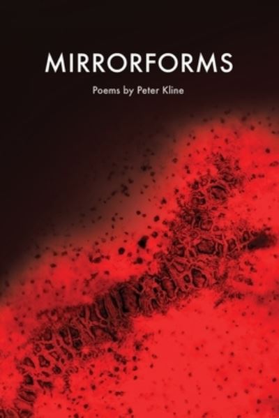 Cover for Peter Kline · Mirrorforms (Paperback Book) (2019)