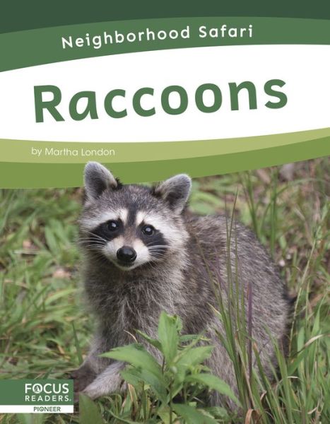 Cover for Martha London · Raccoons - Neighborhood Safari (Paperback Book) (2020)