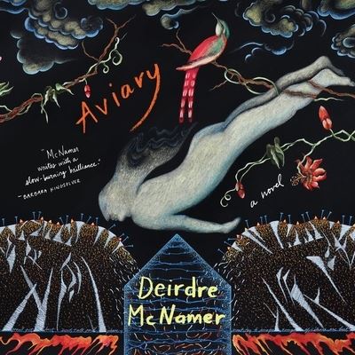 Aviary - Deirdre McNamer - Music - HighBridge Audio - 9781665188302 - April 13, 2021