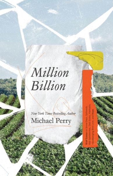 Cover for Michael Perry · Million Billion: Brief Essays on Snow Days, Spitwads, Bad Sandwiches, Dad Socks, Hairballs, Headbanging Bird Love, and Hope. (Pocketbok) (2020)